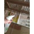 1 KG /Old Newspaper Scrap Wholesale Prices /  newspaper a bird cage /. 