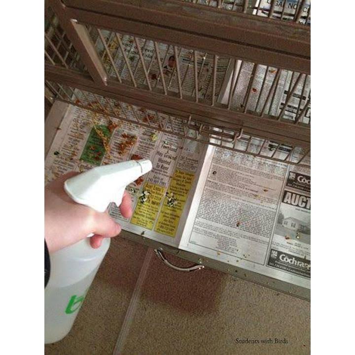 1 KG /Old Newspaper Scrap Wholesale Prices /  newspaper a bird cage /