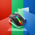 Boost Raptor RGB Wireless Gaming Mouse. 