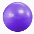 85cm Yoga Ball Exercise Ball , Anti-Burst & Non-Slip Fitness Ball Birthing Ball with Quick Pump- Home Gym Office Chair Ball-FITNESSCLUB419. 