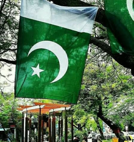 Pakistani%20Flag%20Pakistan%20independence%20day%20Flag%20medium%20size%20flag%20-%20Image%202