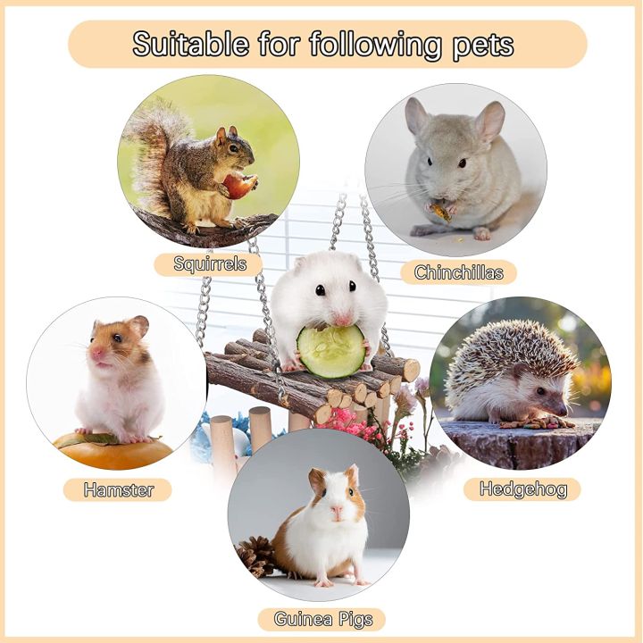 Customized%20handmade%20Hamster%20Chew%20Toys,%20Hamster%20Activity%20Toys%20Accessories%20for%20Teeth%20Care,Natural%20Wood%20Toys%20for%20Hamster,%20Rabbits,%20Bunny,%20Gerbil%20-%20Image%206