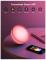 Govee Ambient Portable Table Lamp. 