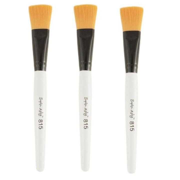 3 PCs of bleach brushes
