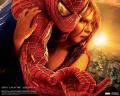 The Amazing Spider Man 2 PC game. 
