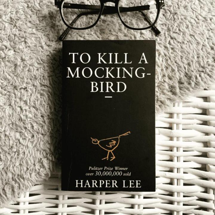 To Kill A Mockingbird Book