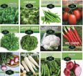 Pack of 12 winter Vegetables seeds With Free Gift (Total 1000 Plus seeds). 