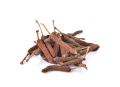 FILFIL LONG PEPPER 50G. 