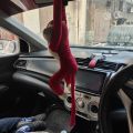 hanging monkey decoration for car and home. 