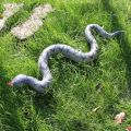 JAY Inflatable Gift Blow Up Wild PVC Prank Reptile Toy Snake Games. 