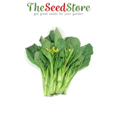 Mustard Seeds | Fresh Mustard (Sarson Ka Saag) 300+ Seeds | Daraz.pk