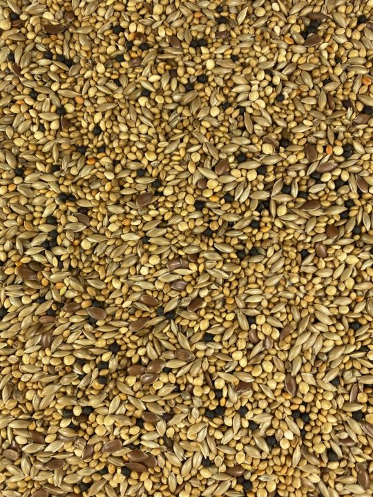 Finch Mix - 5 KG Finch Bird Food Seed mix for finches