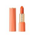 Orange Lipstick Waterproof Long Lasting Matte Lipsticks Resistant Lip Stick Velvet Lip Tint Women Cosmetic Lip Glaze Makeup. 