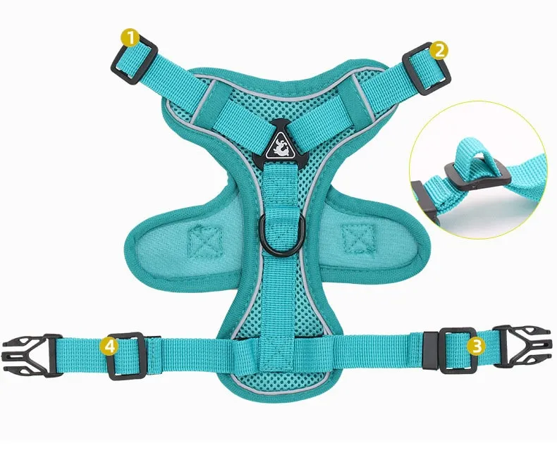 Hot dog harness best sale