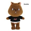 Kpop Skzoo Plush Toys Stray Kids Cartoon Stuffed Animal Plushies Doll Kawaii Companion. 