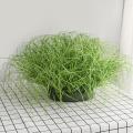 5PCS/lot New Artificial Grass Onion Rush Grass Artificial Plant for Decoration Home Garden Wall Decor Green Plant. 