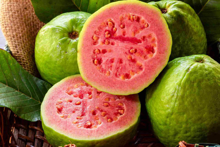 Red/Pink Guava Amrod Tree Seeds Home Kitchen Gardening Seeds