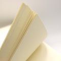 Business Textured Paper Laid Cream Colour A4 size 90gsm 500 Sheets Ream Fine Quality Letter Head Paper. 