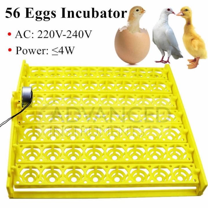 56 Eggs Mini Incubator Hatcher Automatic Egg Turning Tray Tool with Motor Convenient and Safe Egg Incubator Hatching poultry like chickens, ducks and so on. Also hatching birds like quail, parrots,