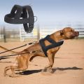 Weight Pulling Dog Training Harness. 