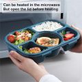 Lunch Box Multi-grid Convenient Salad Fruit Vegetable Lunch Box. 