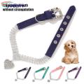 Pet Pendant Necklace Allergy Free Medium Dog Cat Fade-resistant Necklace with Pendant. 