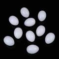 10Pcs White Solid Plastic Solid Pigeon Eggs Dummy Fake Eggs Hatching Supplies. 