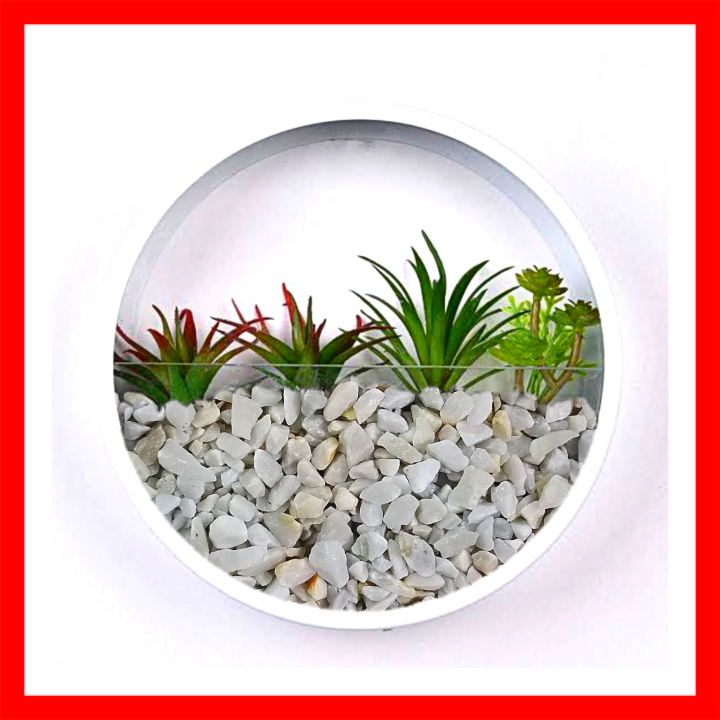 1KG%20White%20Stone%20Pebbles%20for%20Decorative%20Hydroponic%20Gardening%20Pots%20and%20Bouquet%20-%20Image%202