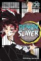 Demon Slayer: Kimetsu no Yaiba, Vol. 20 by Koyoharu Gotouge (Author). 