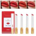 Creative Cigarettes Lipstick Set 4 Colors Matte Long Lasting Waterproof Matt Lip Stick Tube Nude Red Lips Makeup. 