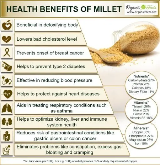 MIX%20MILLET%20FLOUR%20%E2%80%93%20500G%20-%20Image%204