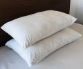 Pack of 2 - Organic Silk Cotton Pillow. 