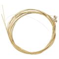 1 Set Rainbow Colorful Color String for Acoustic Guitar & 6 Pcs E, A, D, G, B, E nickel plated steel Guitar Strings Set. 