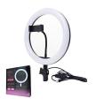Makeup Ring Lights 10" Portable LED Selfie Lights (26cm) for Camera, Phone, TIK Tok, YouTube Video Shooting. Lightweight. For Video Making Selfie Ring Light Photography Dimmable Makeup 26cm Ring Light Video Live with Phone Holder USB Plug (NO STAND). 