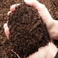 2 Pack of Peat Moss & Coco peat (500 gram each). 