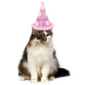 Pet Party Hat Decorative Birthday Hat Party Cone Hat For Pet Cat Dog Birthday Costume Cone Birthday Party Crown Hats Legendog. 