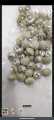 Cloth Buttons for Shirts, Dresses (24 Pieces), Shinny & Multy Shades. 