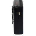 BTS-1385 Portable Wireless Bluetooth Mic Speaker - High-Quality Sound & Karaoke Fun. 