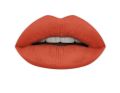 Cheeks Pakistan - Huda Beauty Matte Lipstick Mamacita. 