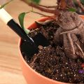 6X Portable Mini Garden Tools Kit Small Shovel Hoe Gardening Tools. 