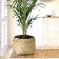 Hand Made Cane Basket/Bamboo-Basket- Set of 2. 