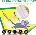 Pack of 6 - Mouse & Rat Bond Traps - Expert Catch Mouse & Rat - Rat Glue Pad - Mouse Catcher Glue | Mouse Glue - Mouse Catcher Book - Mouse Catcher Glue - Mouse Trap Book. 