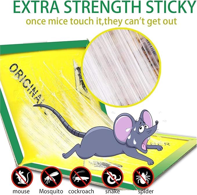 Pack%20of%206%20-%20Mouse%20&%20Rat%20Bond%20Traps%20-%20Expert%20Catch%20Mouse%20&%20Rat%20-%20Rat%20Glue%20Pad%20-%20Mouse%20Catcher%20Glue%20%7C%20Mouse%20Glue%20-%20Mouse%20Catcher%20Book%20-%20Mouse%20Catcher%20Glue%20-%20Mouse%20Trap%20Book%20-%20Image%203