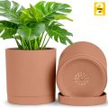 🌿 Fast Forward 6-Inch Plastic Planter Pots – Cylindrical Stylish, Durable & Plant-Friendly with Drainage & Seamless Saucers!. 