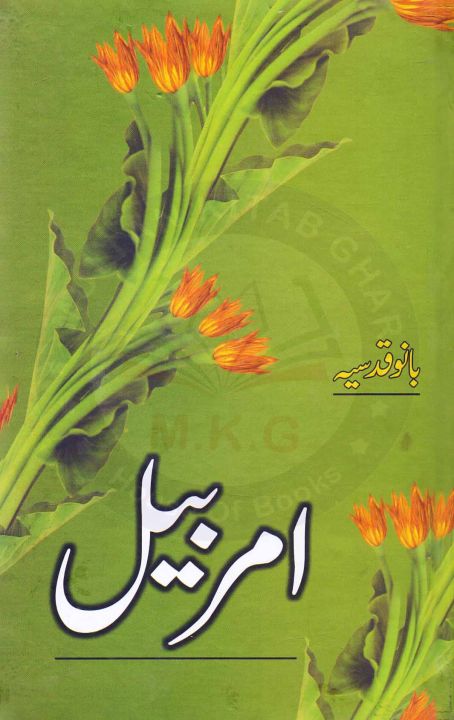 Amar%20Bail%20Urdu%20Language%20By%20Bano%20Qudsia%20-%20Image%202