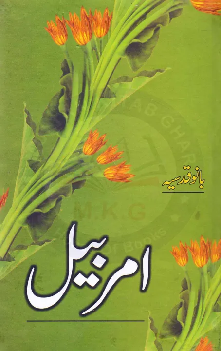 Amar%20Bail%20Urdu%20Language%20By%20Bano%20Qudsia%20-%20Image%202