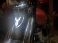 Markhor Monogram LED For Motorcycle Car White Glowing Emblem Universal fit Shield Style National Animal Logo. 