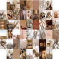 Pack of 40 Brown Aesthetic Wall Collage Kits - High-Resolution Prints. 