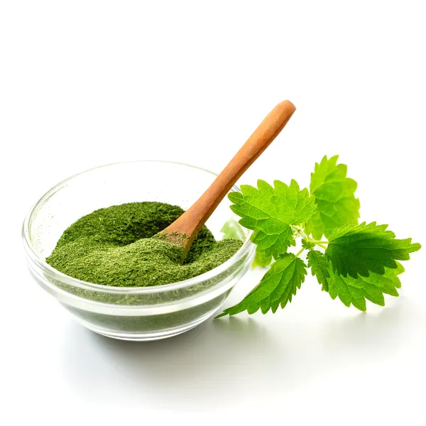 organic%20nettle%20leaves%20,%20nettle%20leaves%20in%20pakistan%2050g%20-%20Image%204