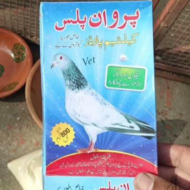 Original Parwan Plus Calcium Powder for Pigeon and Kabootar Birds | Rich  minerals